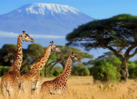 screenshot 2026 03 17 075749