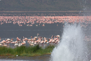 screenshot 2026 03 17 080025