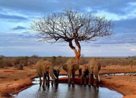 screenshot 2026 03 17 081133