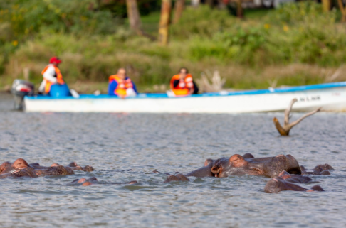 screenshot 2026 03 17 081425