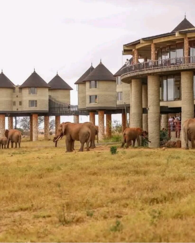 whatsapp image 2026 03 15 at 18.48.14