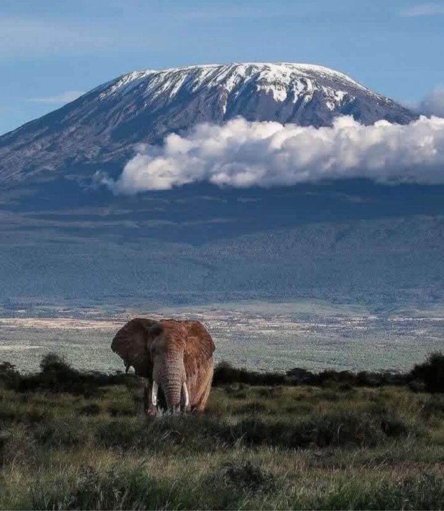 whatsapp image 2026 03 15 at 18.49.12