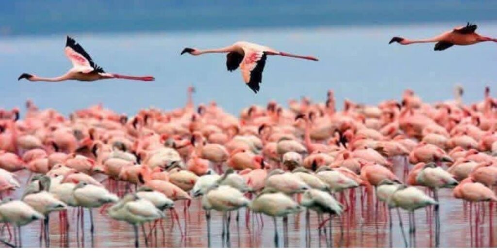 whatsapp image 2026 03 15 at 20.39.40 (1)